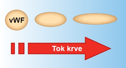 von Willebrandův faktor