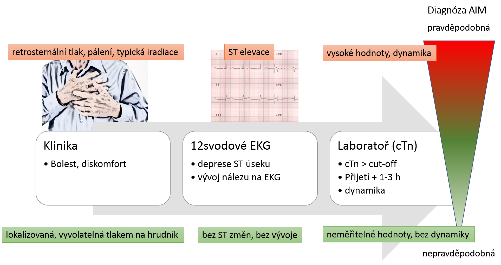 Diagnostika AIM