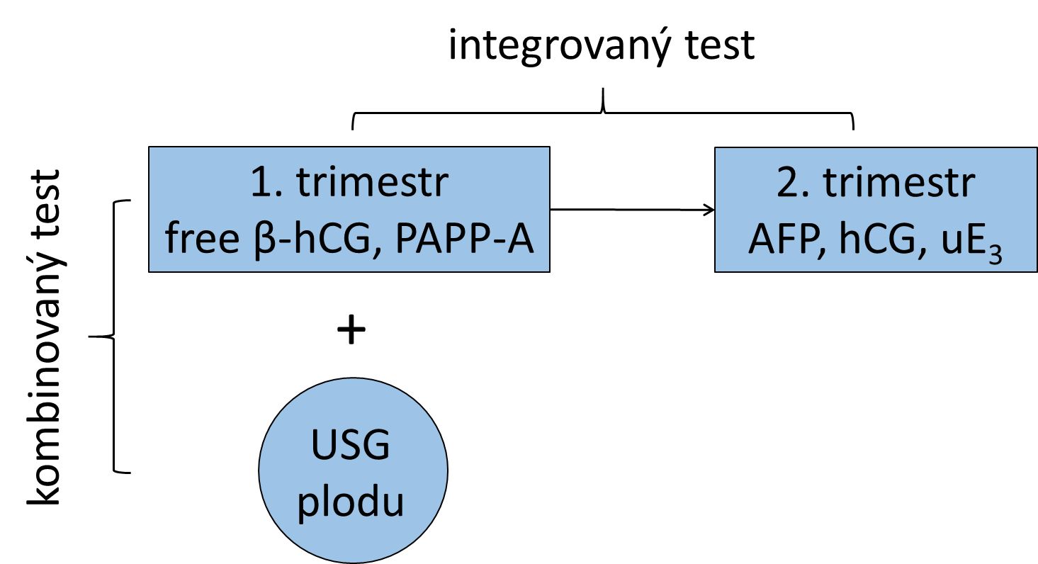 Schéma způsobů hodnocení prenatálního screeningu