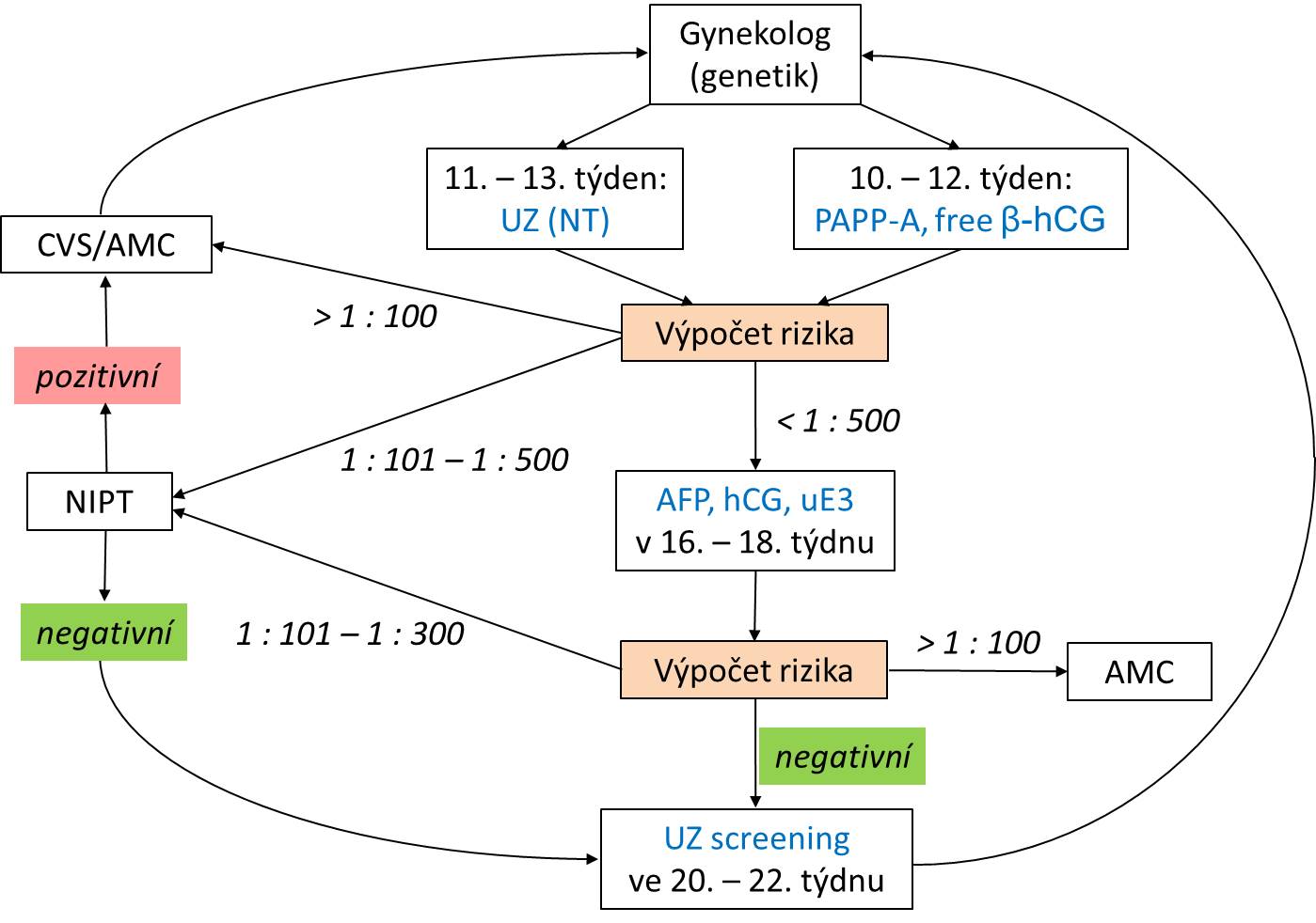 Návrh postupu při screeningu vrozených vývojových vad s využitím NIPT