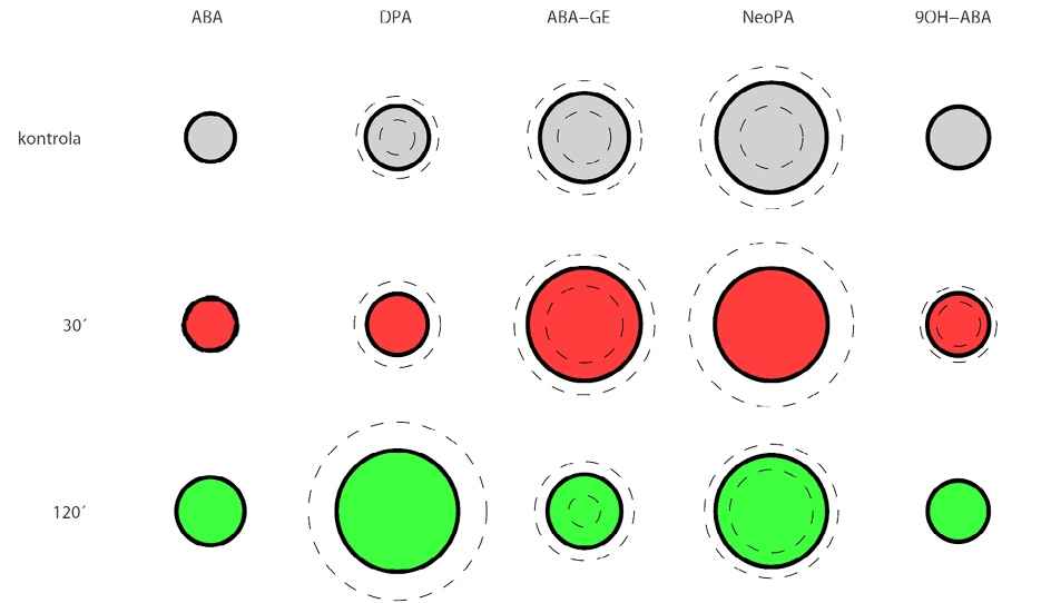 Symbolový graf
C:\Users\hosek\Disk Google\_BC\OPVK\PART 1\Obrázky\circles.png